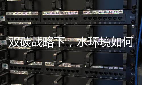 双碳战略下,水环境如何实现碳减排?
