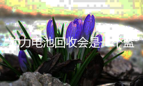 动力电池回收会是一个蓝海市场吗?