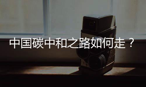 中国碳中和之路如何走?5位院士畅谈科技创新助力碳中和
